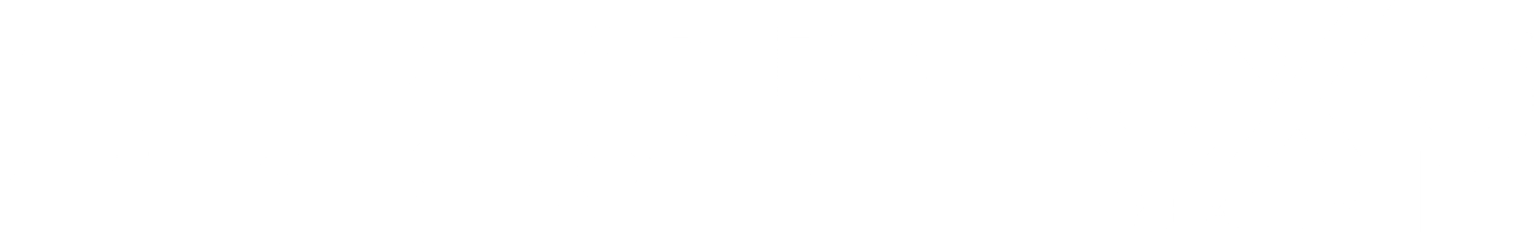 Shapiro Group | eXp Realty