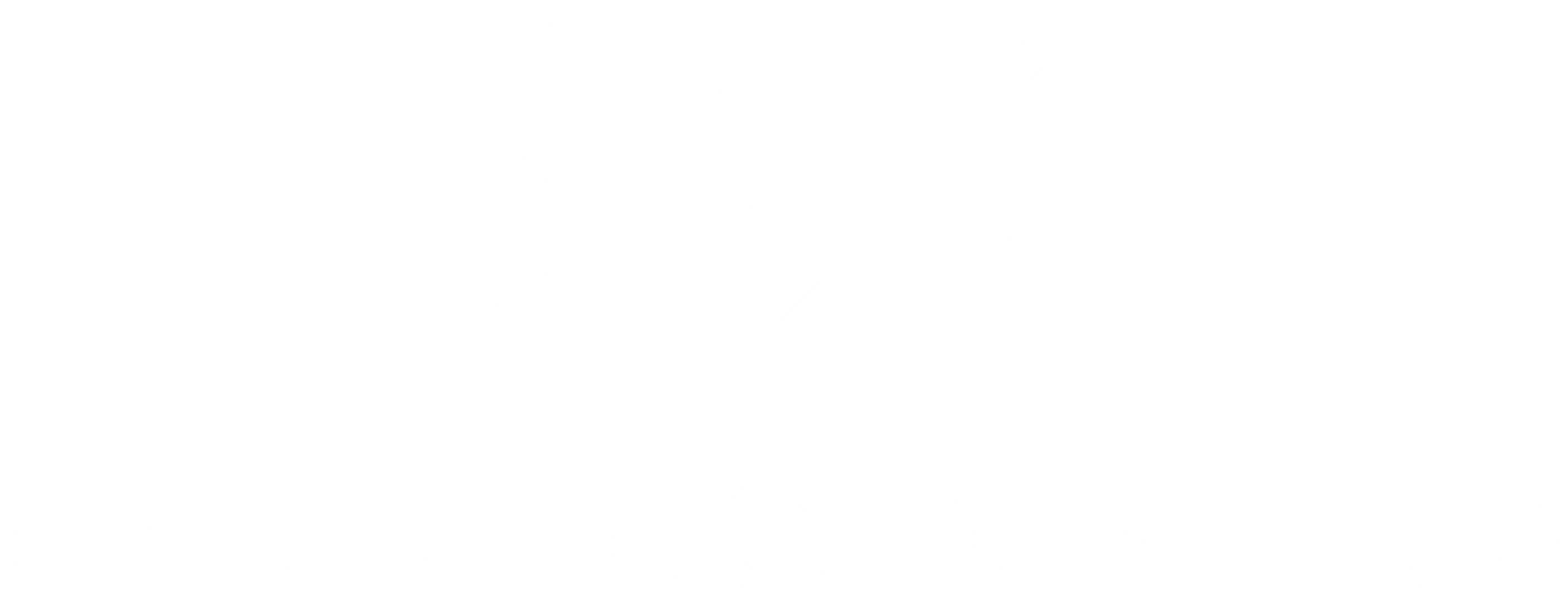 Shapiro Group